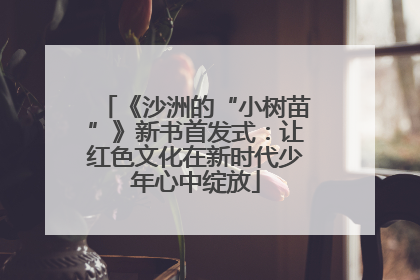 《沙洲的“小树苗”》新书首发式：让红色文化在新时代少年心中绽放