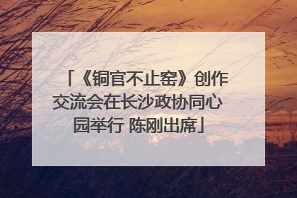 《铜官不止窑》创作交流会在长沙政协同心园举行 陈刚出席