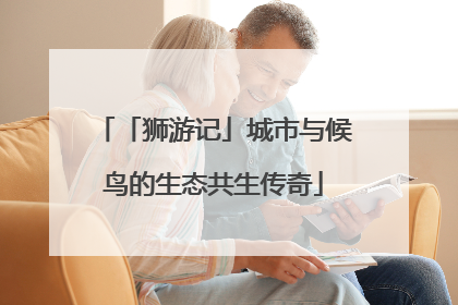 「狮游记」城市与候鸟的生态共生传奇