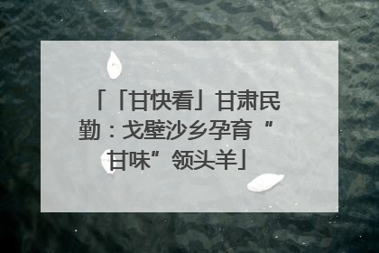 「甘快看」甘肃民勤：戈壁沙乡孕育“甘味”领头羊