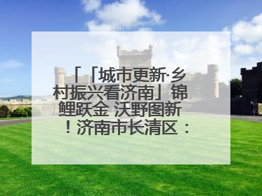 「城市更新·乡村振兴看济南」锦鲤跃金 沃野图新！济南市长清区：小锦鲤大产业 游出农旅新风景