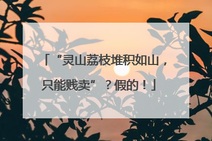 “灵山荔枝堆积如山，只能贱卖”？假的！