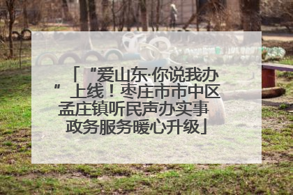 “爱山东·你说我办”上线！枣庄市市中区孟庄镇听民声办实事 政务服务暖心升级