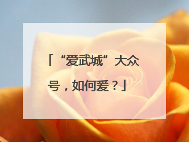 “爱武城”大众号，如何爱？