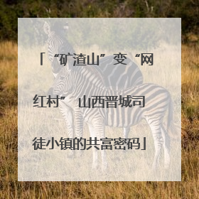 “矿渣山”变“网红村” 山西晋城司徒小镇的共富密码