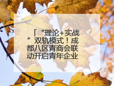 “理论+实战”双轨模式！成都八区青商会联动开启青年企业家培养计划