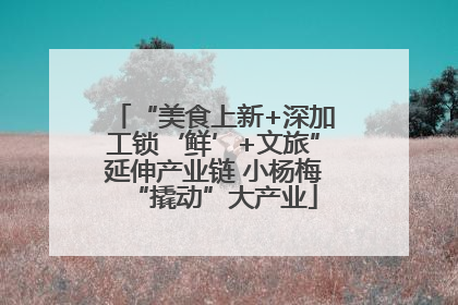“美食上新+深加工锁‘鲜’+文旅”延伸产业链 小杨梅“撬动”大产业