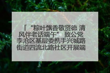 “粽叶飘香敬贤德 清风伴老话端午” 致公党李沧区基层委携手兴城路街道四流北路社区开展端午节主题活动