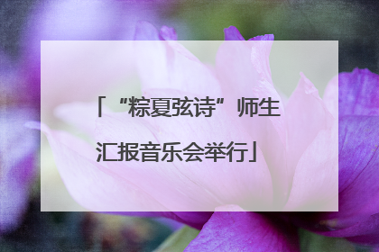 “粽夏弦诗”师生汇报音乐会举行