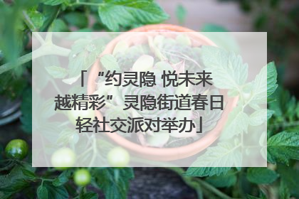 “约灵隐 悦未来 越精彩”灵隐街道春日轻社交派对举办