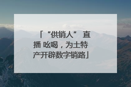 “供销人” 直播 吆喝，为土特产开辟数字销路