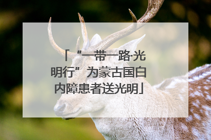 “一带一路·光明行”为蒙古国白内障患者送光明