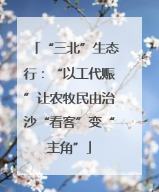 “三北”生态行：“以工代赈”让农牧民由治沙“看客”变“主角”