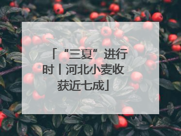 “三夏”进行时丨河北小麦收获近七成