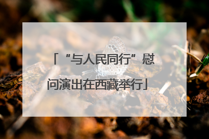 “与人民同行”慰问演出在西藏举行