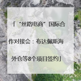 “丝路电商”国际合作对接会：布达佩斯海外仓等8个项目签约