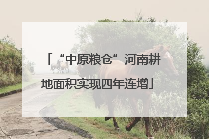 “中原粮仓”河南耕地面积实现四年连增