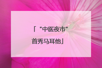 “中医夜市”首秀马耳他