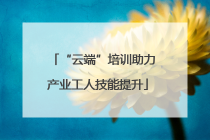 “云端”培训助力产业工人技能提升