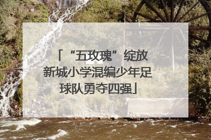 “五玫瑰”绽放 新城小学混编少年足球队勇夺四强