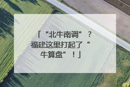 “北牛南调”？福建这里打起了“牛算盘”！