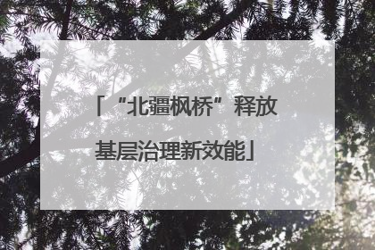 “北疆枫桥”释放基层治理新效能
