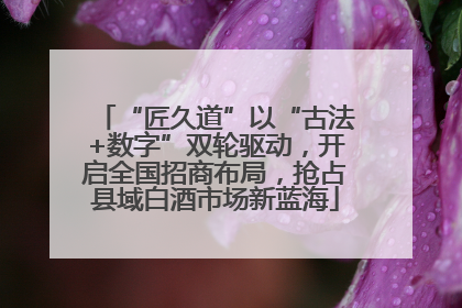 “匠久道”以“古法+数字”双轮驱动，开启全国招商布局，抢占县域白酒市场新蓝海