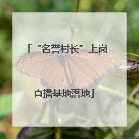 “名誉村长”上岗 直播基地落地