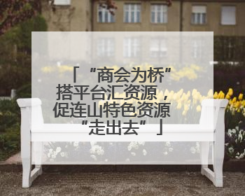 “商会为桥”搭平台汇资源，促连山特色资源“走出去”
