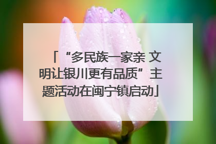 “多民族一家亲 文明让银川更有品质”主题活动在闽宁镇启动