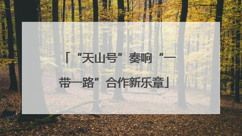 “天山号”奏响“一带一路”合作新乐章