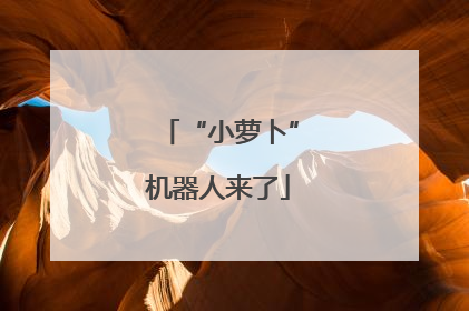 “小萝卜”机器人来了