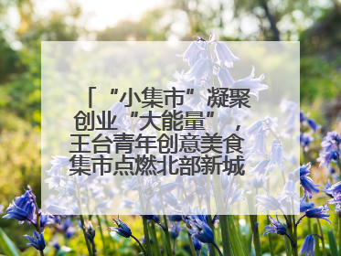 “小集市”凝聚创业“大能量”，王台青年创意美食集市点燃北部新城夜经济