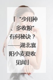 “少用种、多收粮”有何秘诀？——湖北襄阳小麦夏收见闻