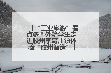 “工业旅游”看点多！外籍学生走进胶州李哥庄镇体验“胶州智造”