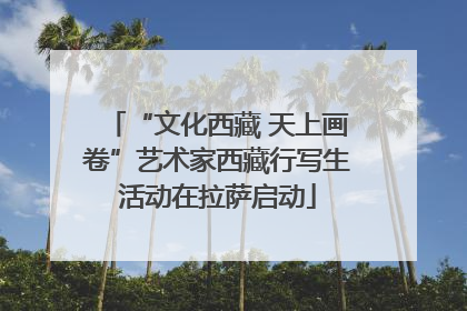 “文化西藏 天上画卷”艺术家西藏行写生活动在拉萨启动