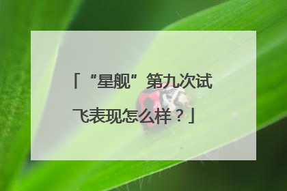 “星舰”第九次试飞表现怎么样？