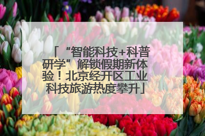 “智能科技+科普研学”解锁假期新体验！北京经开区工业科技旅游热度攀升
