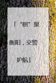 “棋”聚衡阳，交警护航