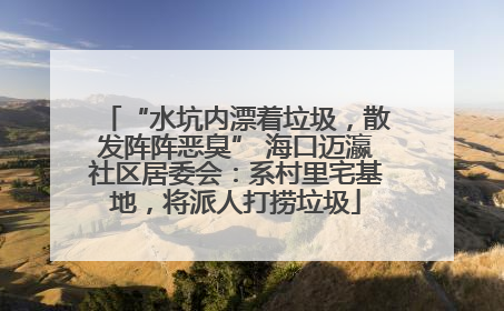 “水坑内漂着垃圾，散发阵阵恶臭” 海口迈瀛社区居委会：系村里宅基地，将派人打捞垃圾
