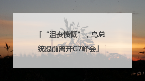 “沮丧愤慨”，乌总统提前离开G7峰会