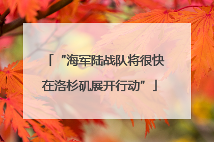 “海军陆战队将很快在洛杉矶展开行动”