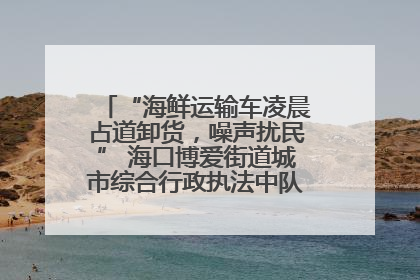 “海鲜运输车凌晨占道卸货，噪声扰民” 海口博爱街道城市综合行政执法中队：将联合交警加强长堤路一带巡逻