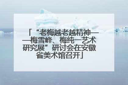“老梅越老越精神——梅雪峰、梅纯一艺术研究展”研讨会在安徽省美术馆召开
