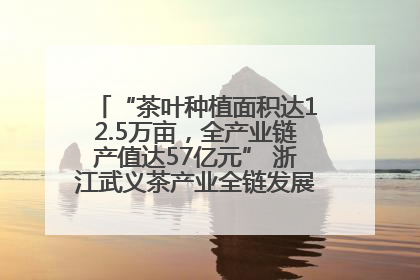“茶叶种植面积达12.5万亩，全产业链产值达57亿元” 浙江武义茶产业全链发展“加速度”