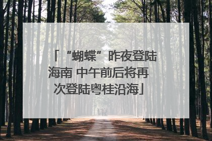 “蝴蝶”昨夜登陆海南 中午前后将再次登陆粤桂沿海