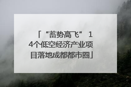 “蓄势高飞” 14个低空经济产业项目落地成都都市圈