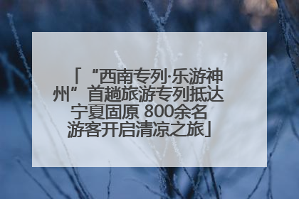 “西南专列·乐游神州”首趟旅游专列抵达宁夏固原 800余名游客开启清凉之旅