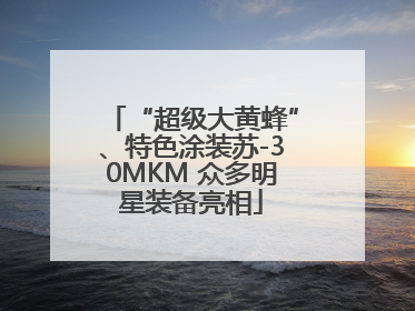 “超级大黄蜂”、特色涂装苏-30MKM 众多明星装备亮相