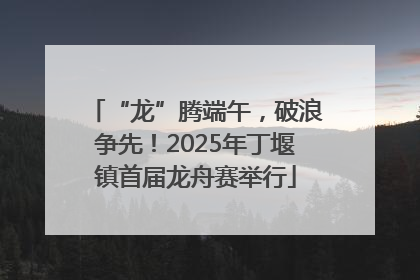 “龙”腾端午，破浪争先！2025年丁堰镇首届龙舟赛举行